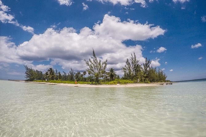 Private, luxury, custom charters to Stingray City, Snorkeling & More - Starfish Point for a Slower Hour
