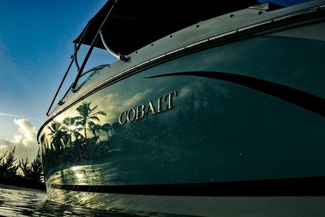 Private, luxury, custom charters to Stingray City, Snorkeling & More - Evening Bio Bay and Glowing Plankton