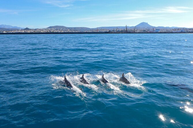 Private luxury Escape Sailing, Snorkel and Lunch Cruise - Swimming and snorkeling in Agios Georgios Bay