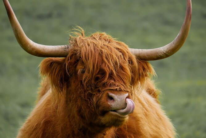 Private Luxury Mini Highlands Tour From Edinburgh - Braveheart - The Wallace Monument and views over Stirling