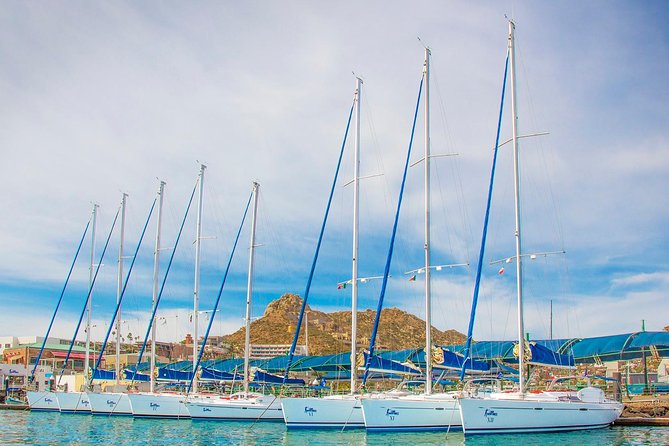 Private Luxury Sailing Cruise in Los Cabos with Lunch and Open Bar - Lunch with Baja flavors and a filling main course