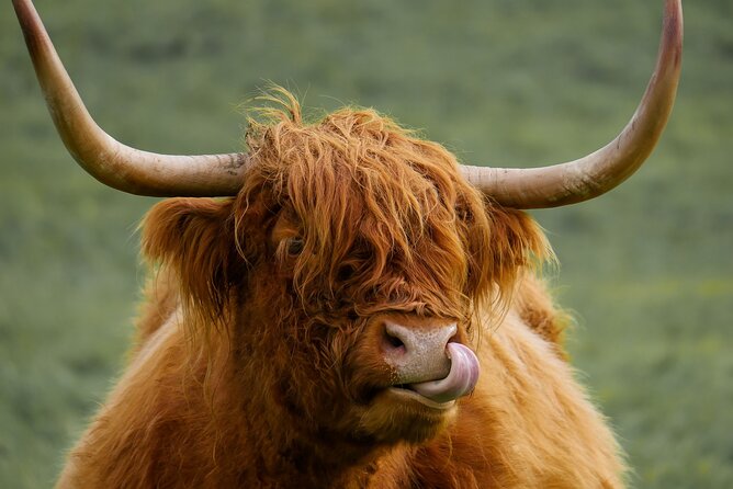Private Luxury Tour of Loch Lomond, Glencoe & The Highlands - One day from Edinburgh to the Highlands