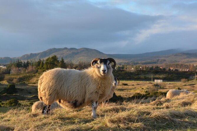 Private Luxury Tour of Loch Lomond, Glencoe & The Highlands - The Forth Bridges and the Kelpies