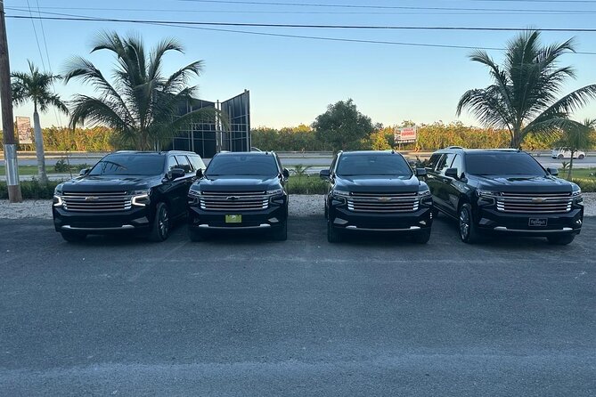 Private Punta Cana Luxury Car Transportation - Luggage space and the family question