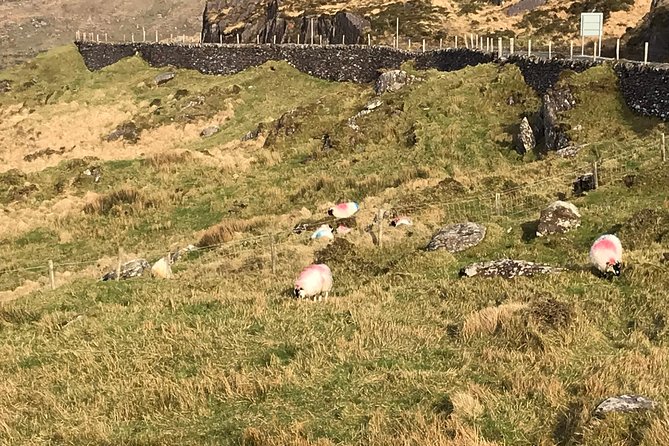 Private Ring of Kerry luxury tour with accredited guide - The Skellig Ring is where the private format earns its keep