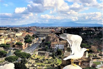 Private Rome WOW Tour in 1 Day: Luxury Car, Guide, Tkts & Lunch!