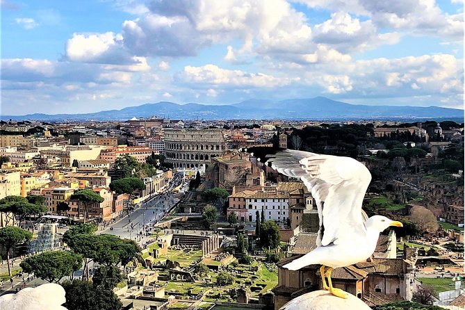 Private Rome WOW Tour in 1 Day: Luxury Car, Guide, Tkts & Lunch! - Colosseum and Roman Forum: one hour of ancient Rome