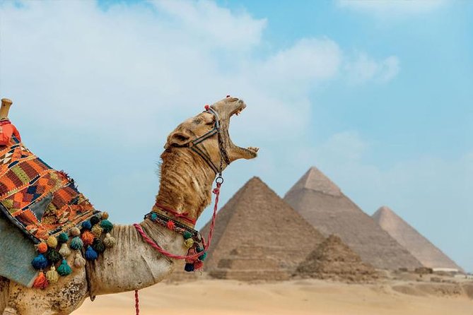 Private ViP all-inclusive Giza Pyramids,Sphinx,Inside Pyramid - The Great Sphinx and Valley Temple