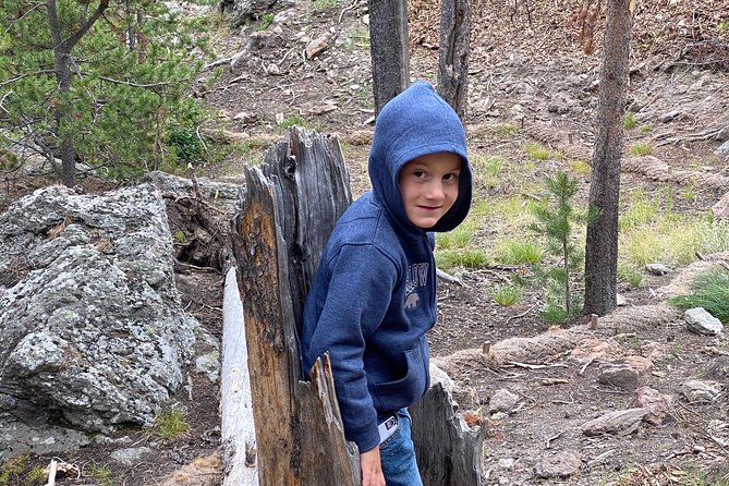 Private VIP Boutique Yellowstone Day Tour from Gardiner MT - Hayden Valley and Sulphur Caldron