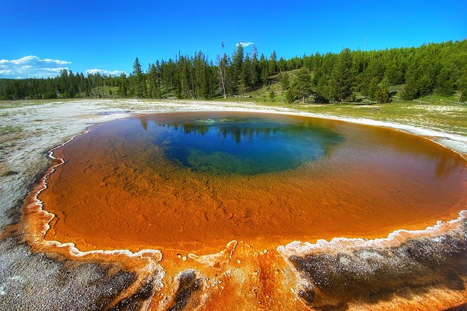 Private VIP Boutique Yellowstone Day Tour from Gardiner MT - Canyon Village, Brink of the Lower Falls, and Artist Point