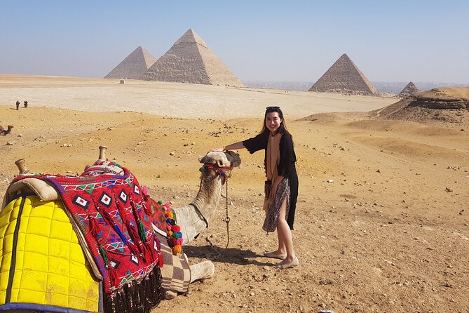 Private VIP Tour to Giza Pyramids Sphinx And the Egyptian Museum - Who should book this seven-hour tour