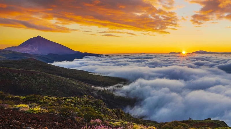 Puerto Cruz: VIP Teide Sunset & Stars, Guachiche Lunch+Cava - La Orotava and the northern slopes