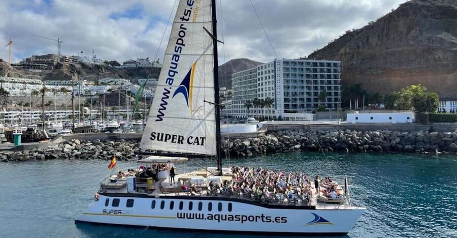 Puerto Rico de Gran Canaria: Premium Dolphin Catamaran Tour - Searching the Atlantic for Dolphins