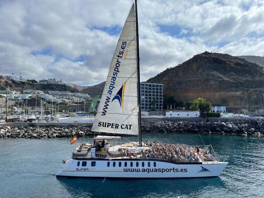 Puerto Rico de Gran Canaria: Premium Dolphin Catamaran Tour - The Anchor Stop: Swimming, Snorkeling, and the Banana Boat