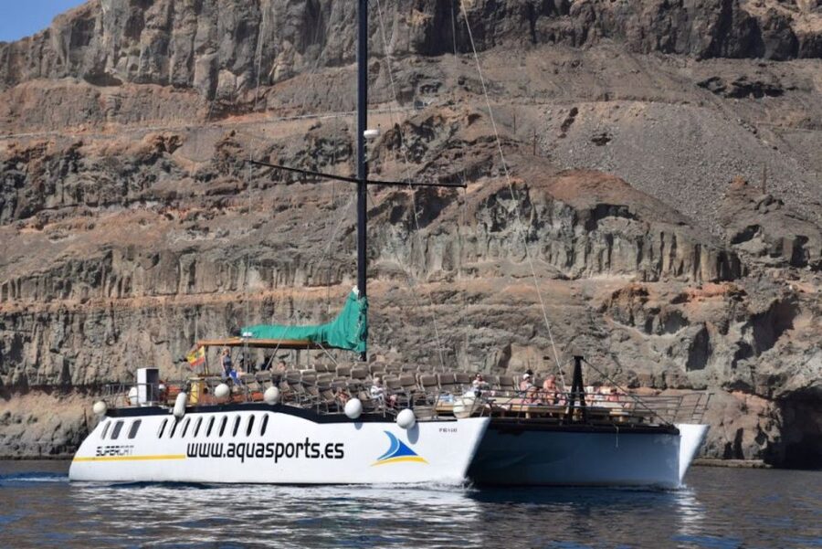 Puerto Rico de Gran Canaria: Premium Dolphin Catamaran Tour - Comfort, Sea Conditions, and Seasickness