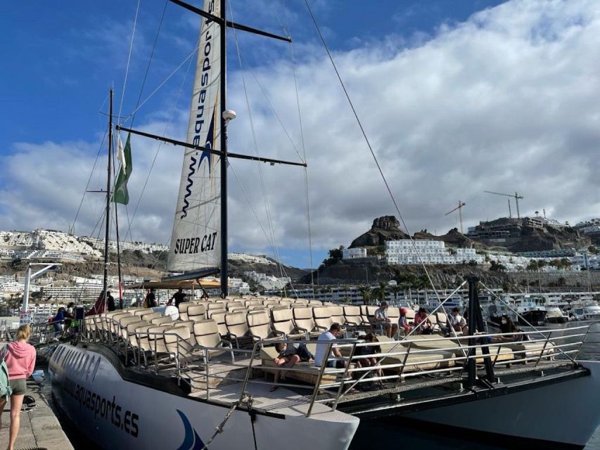 Puerto Rico de Gran Canaria: Premium Dolphin Catamaran Tour - Who Will Get the Most From This Catamaran Tour?