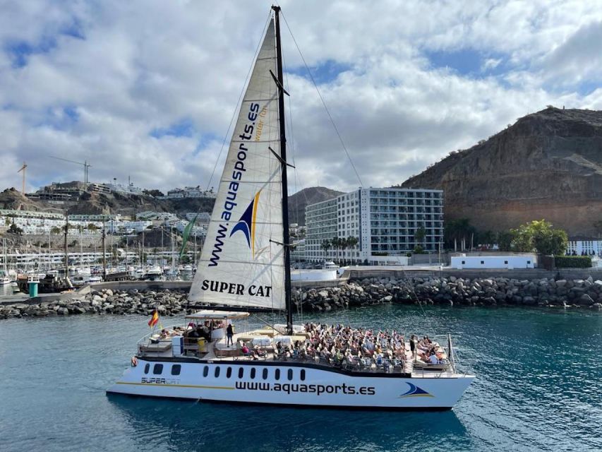 Puerto Rico de Gran Canaria: Premium Dolphin Catamaran Tour - Booking Details That Affect Your Decision