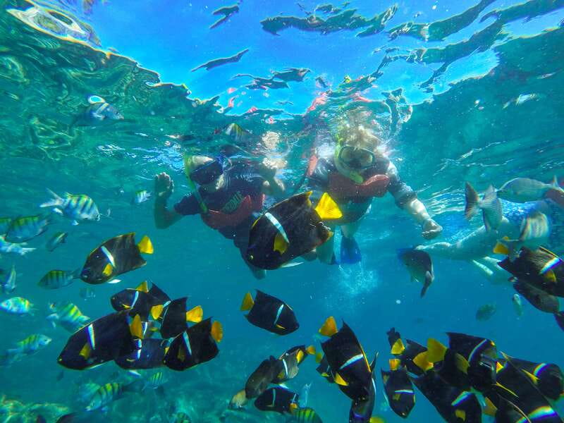 Puerto Vallarta: Luxury Day Sailing Tour of Bay of Banderas - What the $119 price includes