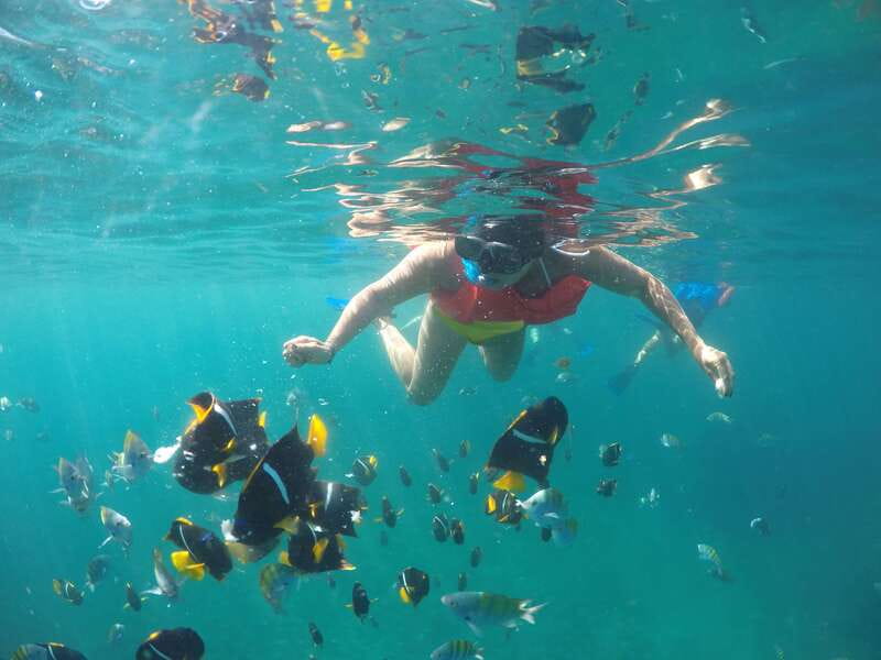 Puerto Vallarta: Luxury Yacht Tour with Lunch and Open Bar - Key points to know before booking