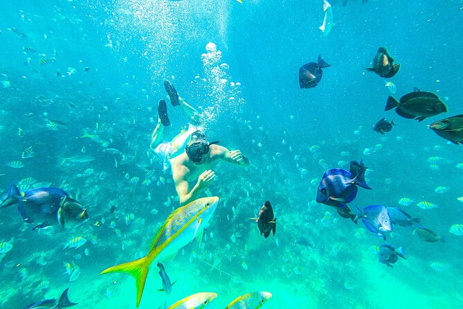 Punta Cana Exclusive Adults-Only Snorkel with Food and Drinks - A half-day on the Caribbean with Don Julio and the crew