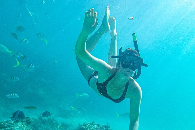 Punta Cana Exclusive Adults-Only Snorkel with Food and Drinks - Shallow pools and artificial reef structures