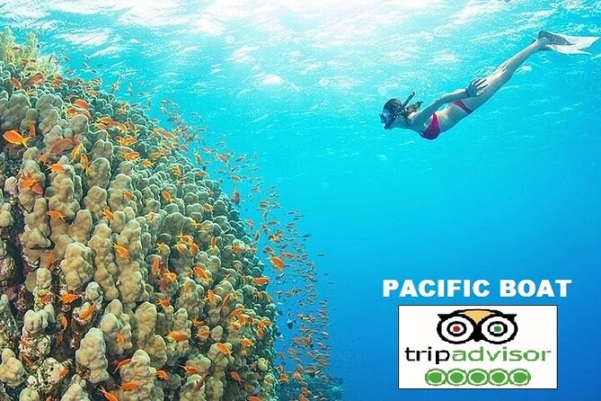 REAL snorkel &island hopping by SPEEDBOAT-EXPLORE CUISINES(MAX12) - Weather, safety, and the real conditions