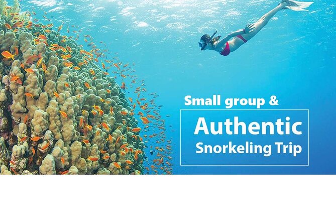REAL snorkel &island hopping by SPEEDBOAT-EXPLORE CUISINES(MAX12) - May Rut and Gam Ghi for swimming and beach time