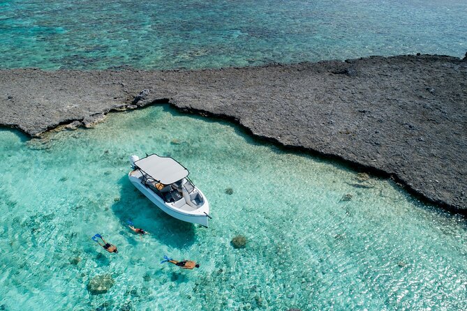 Reef Discovery Luxury Private Snorkeling Lagoon Tour - How this compares with a standard group outing