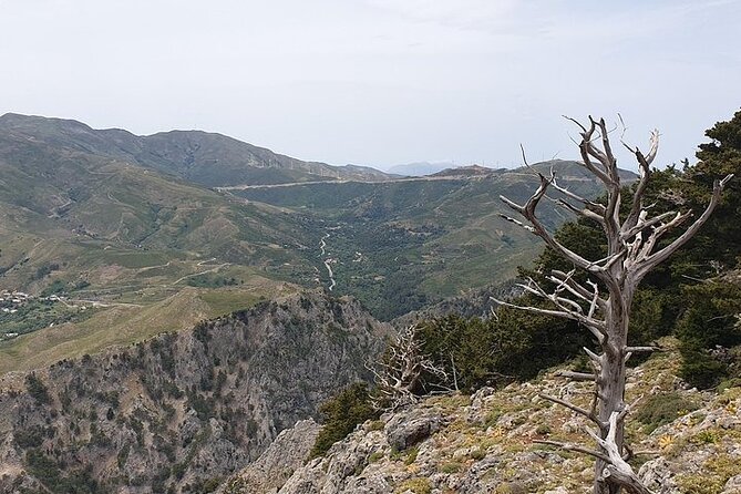 Rethymno Tour - VIP Private Tour - Kourtaliotiko Gorge and the return toward Rethymno