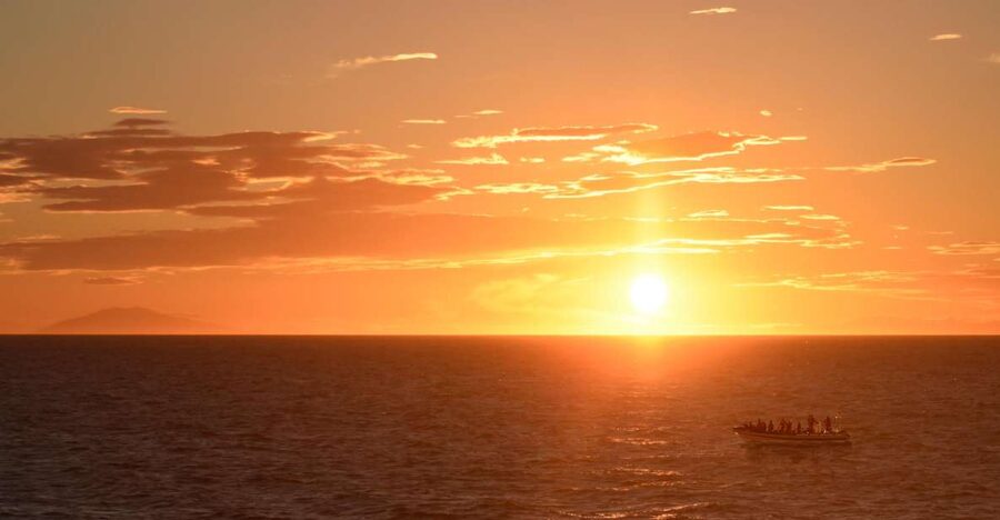 Reykjavik: Premium Whale and Puffin Watching Evening Tour - Racing across Faxaflói Bay