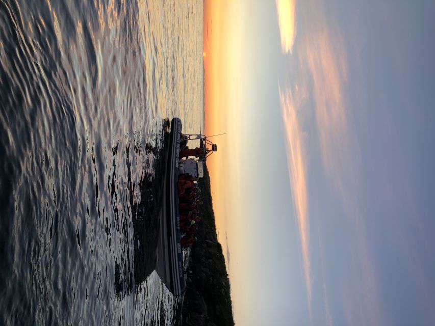 Reykjavik: Premium Whale and Puffin Watching Evening Tour - What the $200 price includes