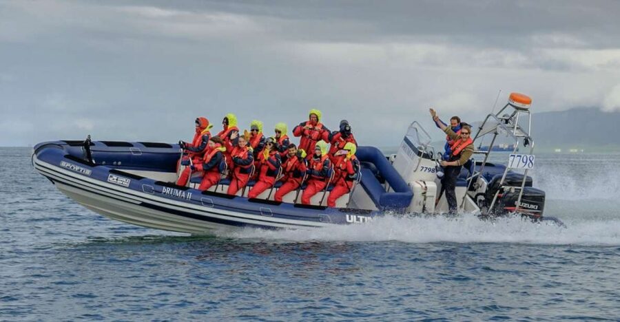 Reykjavik: Premium Whale Watching with Flexible Ticket - Leaving Reykjavík Old Harbour by RIB