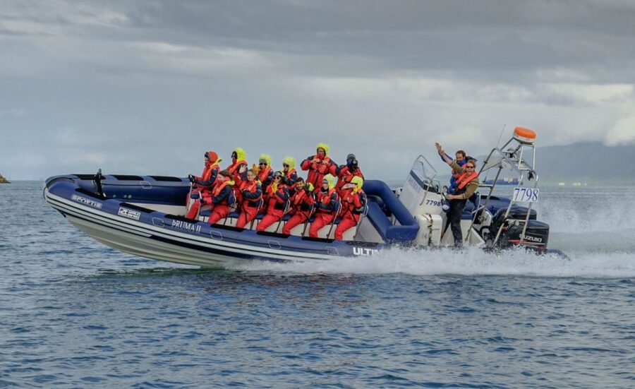 Reykjavik: Premium Whale Watching with Flexible Ticket - Two hours in Faxaflói Bay