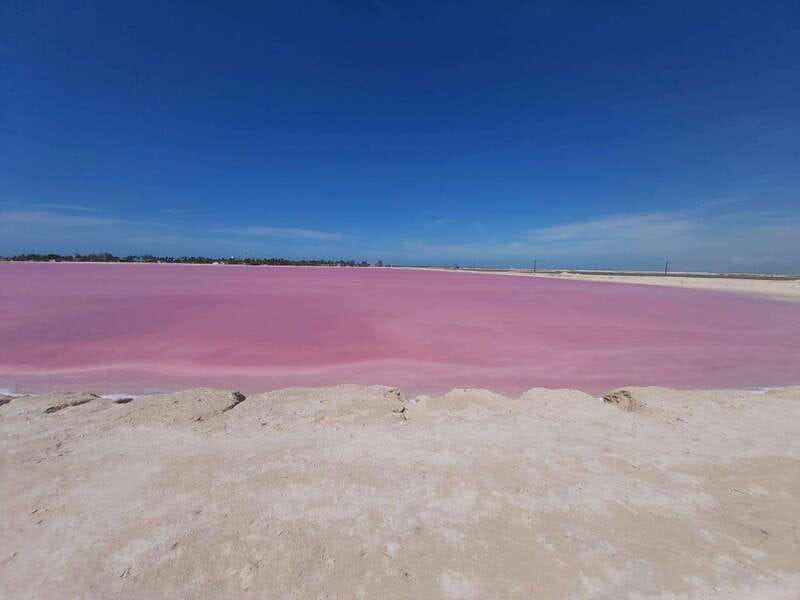 Rio Lagartos and Las Coloradas: Safari Flamingo Luxury - A private morning through Rio Lagartos mangroves
