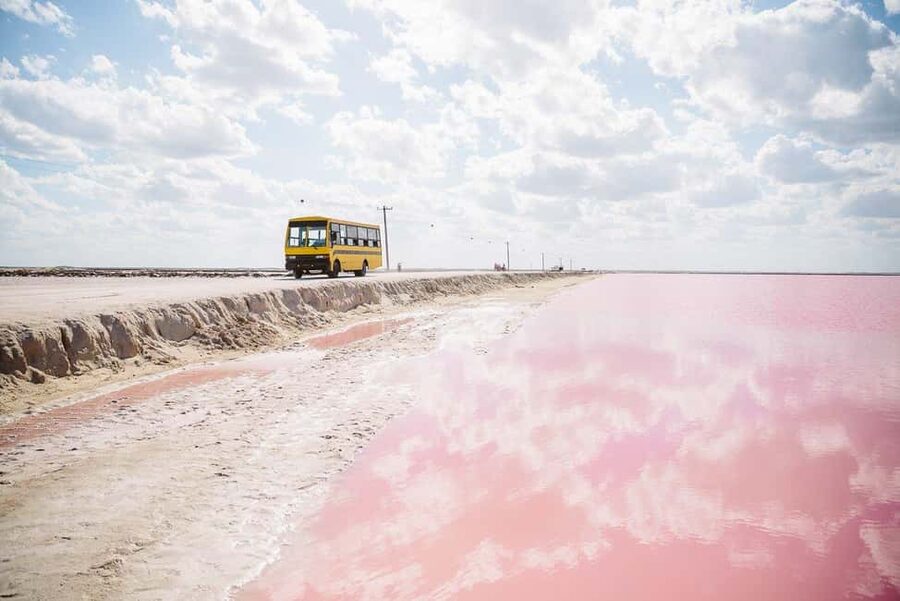 Rio Lagartos and Las Coloradas: Safari Flamingo Luxury - Flamingos feeding across the wetlands