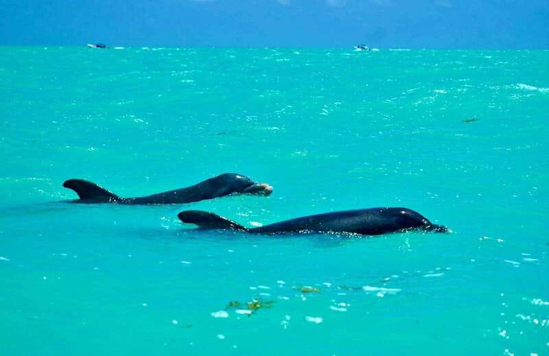 Rio Lagartos and Las Coloradas: Safari Flamingo Luxury - The Mayan clay exfoliation