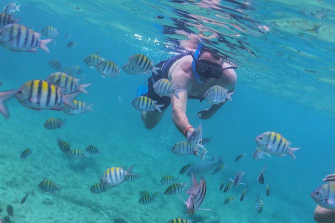 Riviera Maya Luxury Snorkeling Cruise with Lunch and Drinks - Paddleboarding and the second water stop