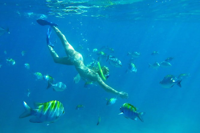 Riviera Maya Luxury Snorkeling Cruise with Lunch and Drinks - Who will enjoy this cruise most?