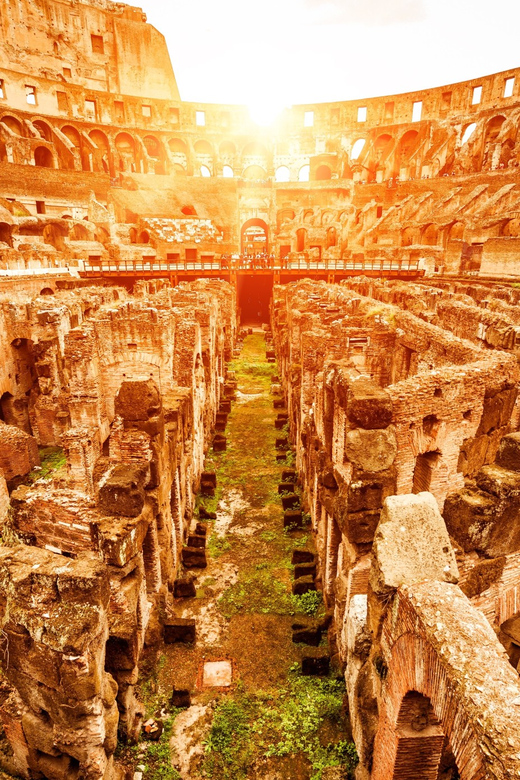 Rome: VIP Colosseum, Roman Forum, Palatine Hill Experience - Timing, weather, and what to carry