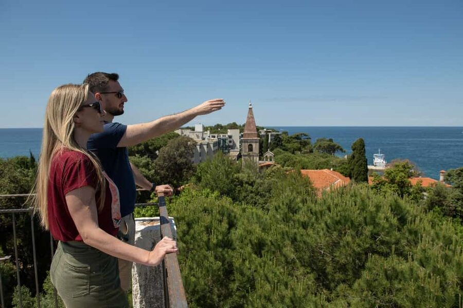 Rovinj: Luxury Island Hopping with Swimming & Snorkeling - What the $74 price includes