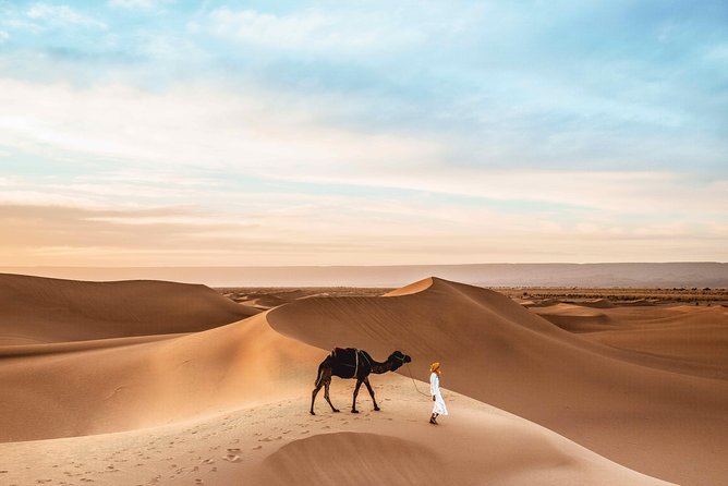 Royal Private Desert Safari - Exclusive SUV - Dinner with Arabic, barbecue, and international dishes