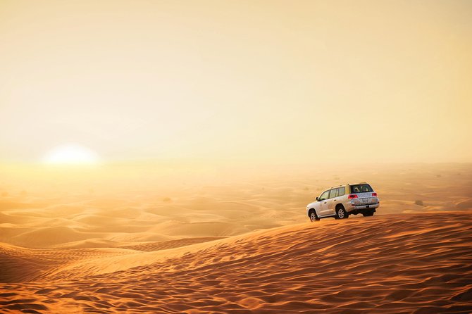 Royal Private Desert Safari - Exclusive SUV - Who should book this safari