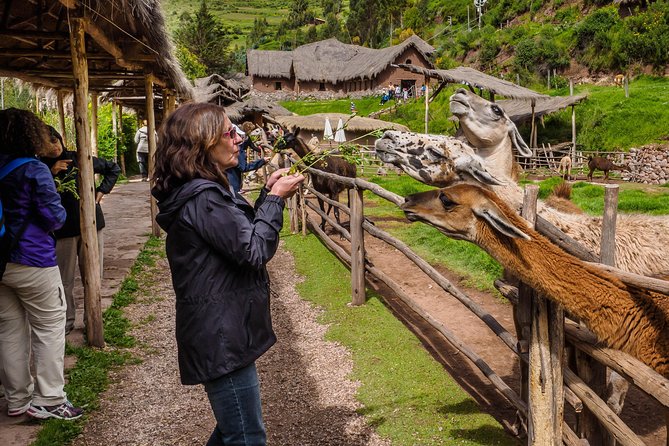 Sacred Valley and Machu Picchu Tour in 2 days with Peru Vip - Ollantaytambo is the day’s strongest historical stop
