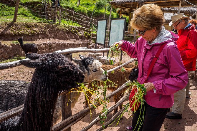 Sacred Valley and Machu Picchu Tour in 2 days with Peru Vip - The 5:00 am start gets you to Machu Picchu early