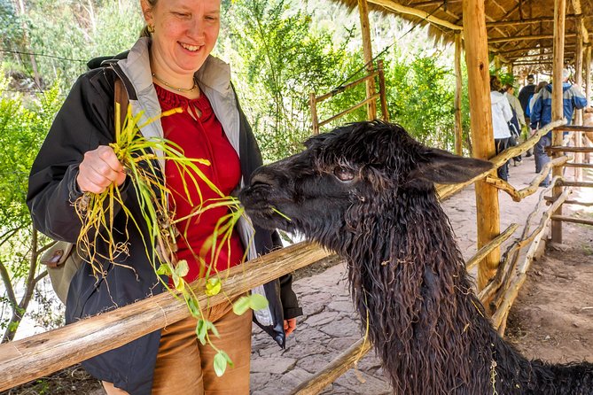 Sacred Valley and Machu Picchu Tour in 2 days with Peru Vip - The return to Cusco makes day two long