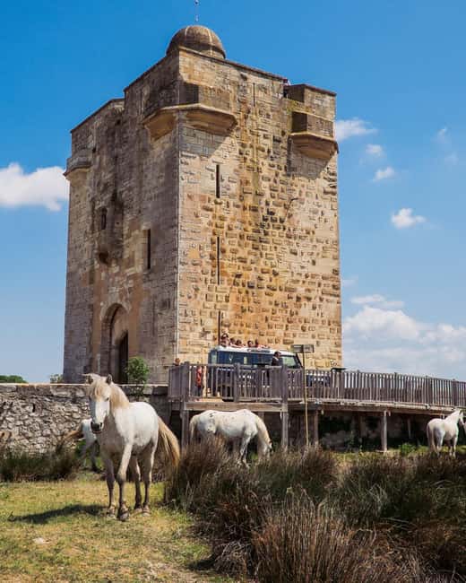 Safari 4x4 in Camargue / VIP Tour 3h30 / Grau du Roi - Meeting the bulls and horses at a manade