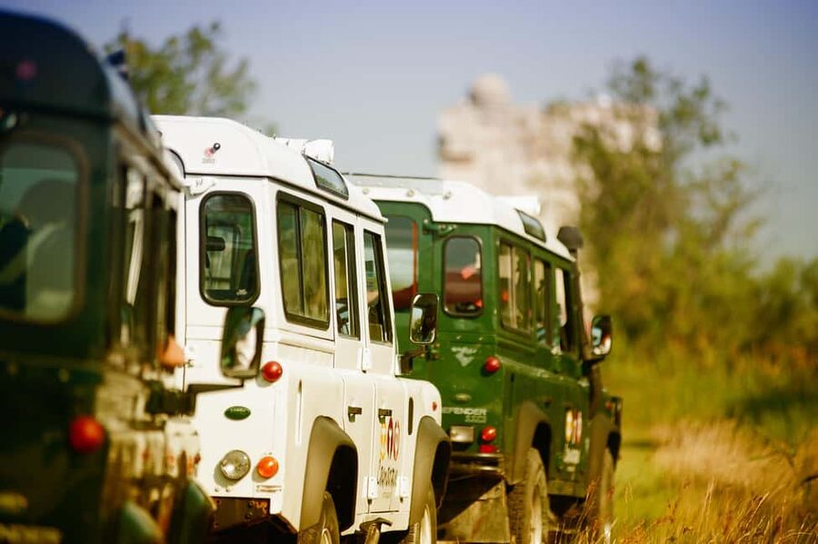 Safari 4x4 in Camargue / VIP Tour 3h30 / Grau du Roi - Watching birds and animals in the marshes