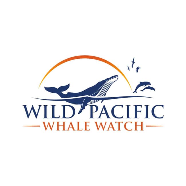 San Diego: Luxury Year-round Whale Watching & Dolphin Tour - Leaving the harbor and finding your sea legs