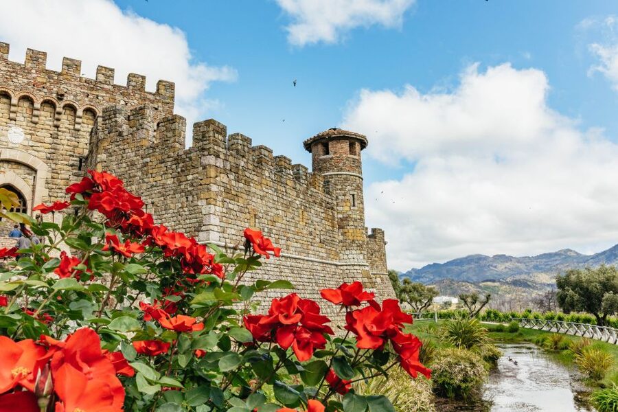 San Francisco: Luxury Small-Group Wine Tour of Napa Valley - Key points