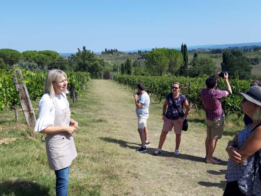 San Gimignano: Premium Wine Tour with Lunch - Key points to know before booking